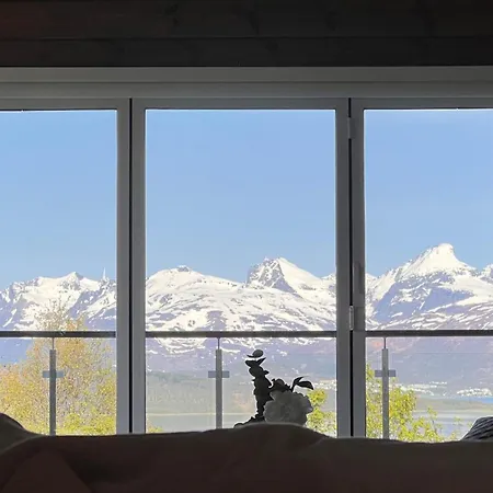Exclusive View